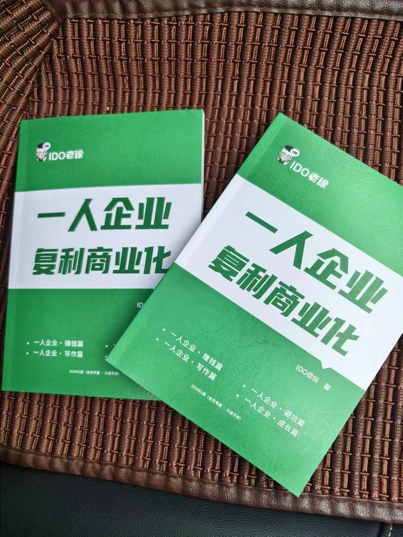 《一人企业复利商业化》封面